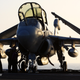 Illustration for article titled The EA-6B Prowlers Last Cruise Is Showcased In These Exclusive Photos